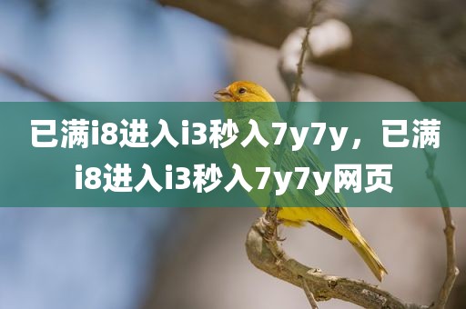 已满i8进入i3秒入7y7y，已满i8进入i3秒入7y7y网页