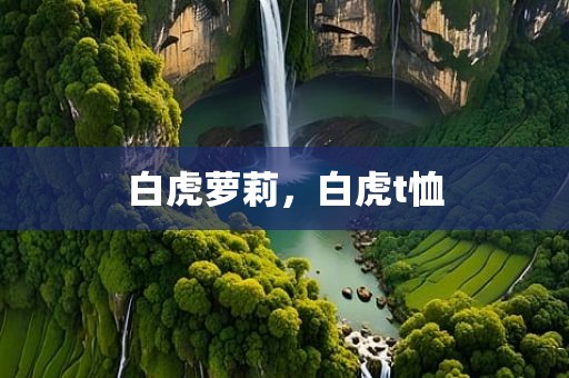 白虎萝莉，白虎t恤