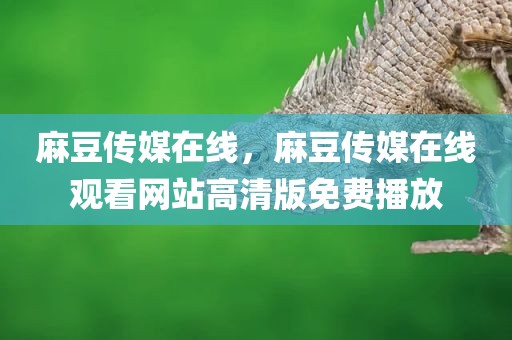 麻豆传媒在线，麻豆传媒在线观看网站高清版免费播放