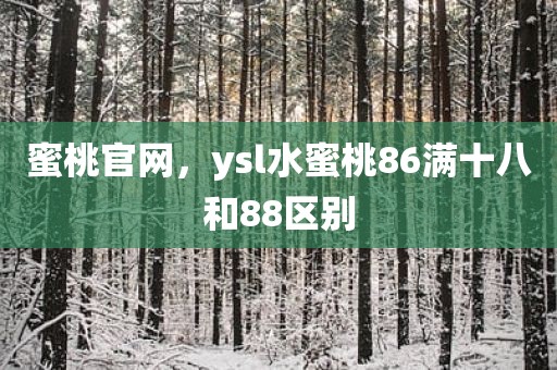蜜桃官网，ysl水蜜桃86满十八和88区别