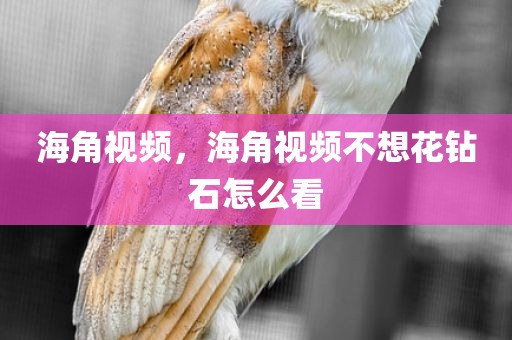 海角视频，海角视频不想花钻石怎么看