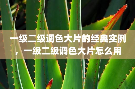 一级二级调色大片的经典实例，一级二级调色大片怎么用