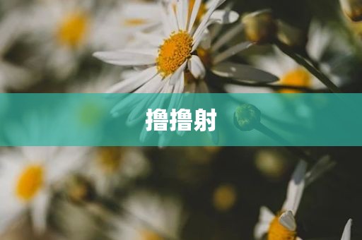 撸撸射