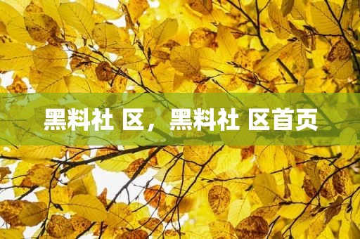 黑料社 区，黑料社 区首页