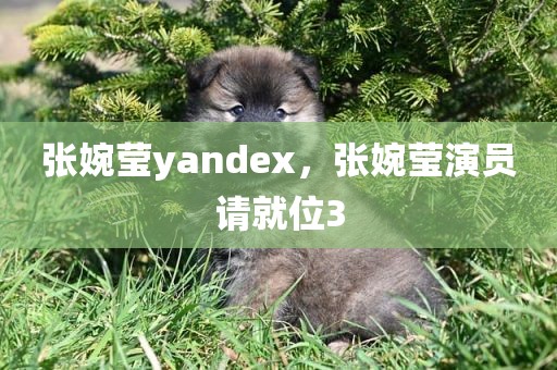 张婉莹yandex，张婉莹演员请就位3
