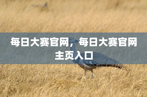 每日大赛官网，每日大赛官网主页入口