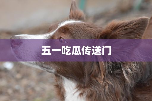 五一吃瓜传送门