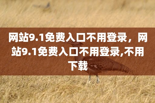 网站9.1免费入口不用登录，网站9.1免费入口不用登录,不用下载
