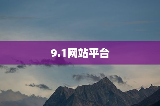 9.1网站平台