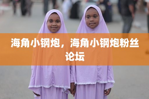 海角小钢炮，海角小钢炮粉丝论坛