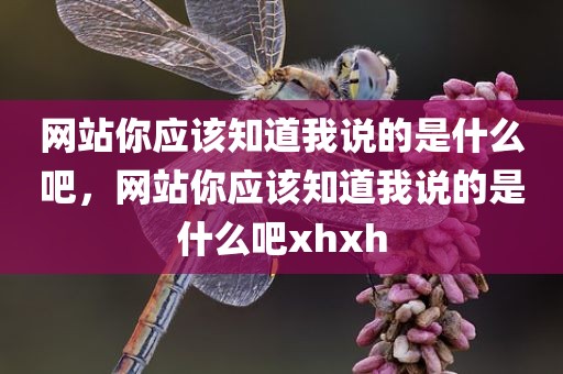 网站你应该知道我说的是什么吧，网站你应该知道我说的是什么吧xhxh