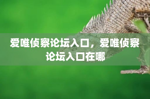 爱唯侦察论坛入口，爱唯侦察论坛入口在哪