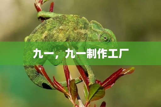 九一，九一制作工厂