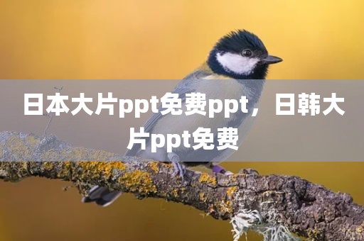日本大片ppt免费ppt，日韩大片ppt免费