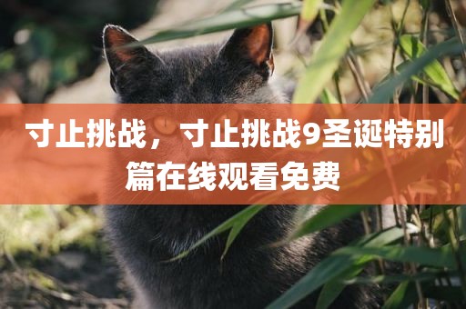 寸止挑战，寸止挑战9圣诞特别篇在线观看免费