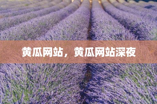 黄瓜网站，黄瓜网站深夜