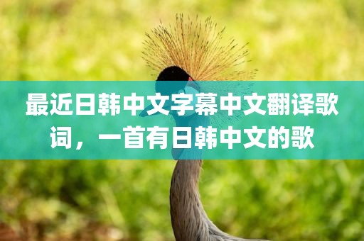 最近日韩中文字幕中文翻译歌词，一首有日韩中文的歌