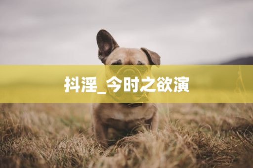 抖淫_今时之欲演