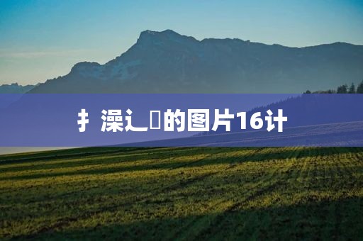 扌澡辶畐的图片16计