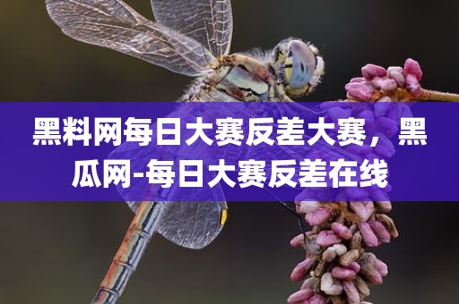 黑料网每日大赛反差大赛，黑瓜网-每日大赛反差在线