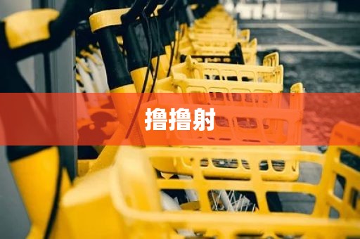 撸撸射