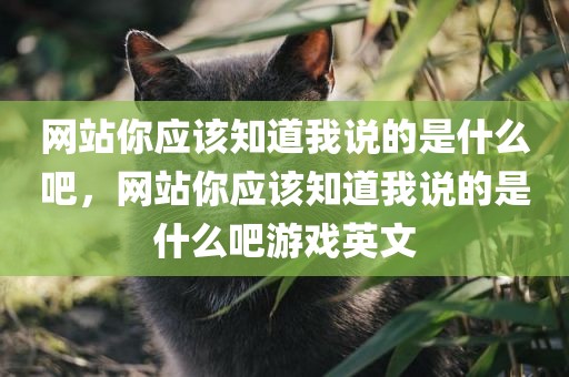 网站你应该知道我说的是什么吧，网站你应该知道我说的是什么吧游戏英文