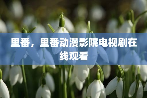 里番，里番动漫影院电视剧在线观看