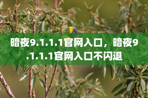 暗夜9.1.1.1官网入口，暗夜9.1.1.1官网入口不闪退