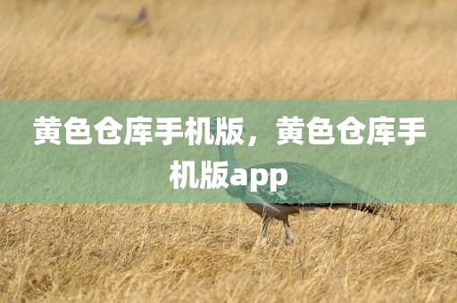 黄色仓库手机版，黄色仓库手机版app