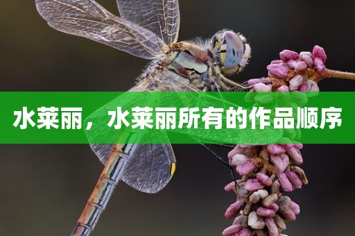 水莱丽，水莱丽所有的作品顺序