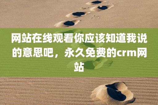 网站在线观看你应该知道我说的意思吧，永久免费的crm网站