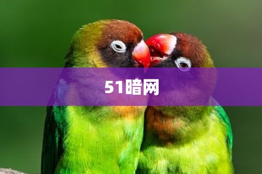51暗网