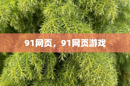 91网页，91网页游戏