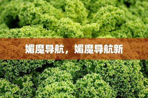 媚魔导航，媚魔导航新