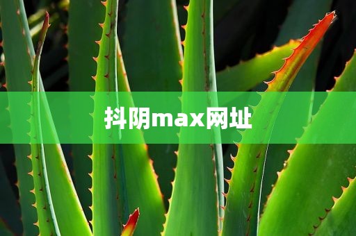 抖阴max网址