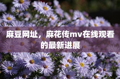 麻豆网址，麻花传mv在线观看的最新进展