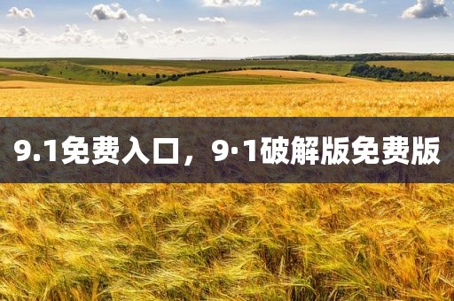 9.1免费入口，9·1破解版免费版