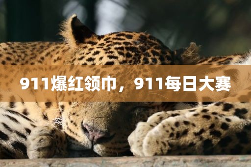 911爆红领巾，911每日大赛