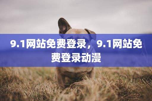 9.1网站免费登录，9.1网站免费登录动漫