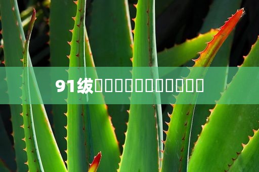 91绂侌煃嗮煃戰煍炩潓鉂屸潓