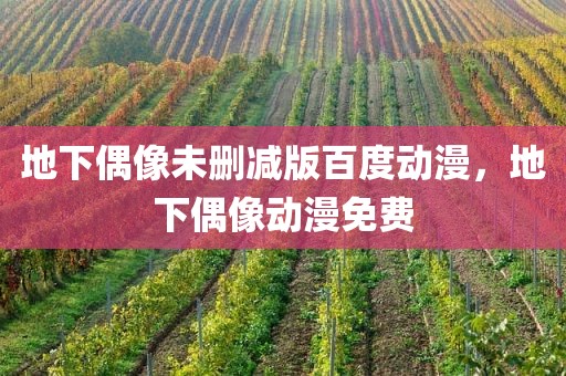 地下偶像未删减版百度动漫，地下偶像动漫免费