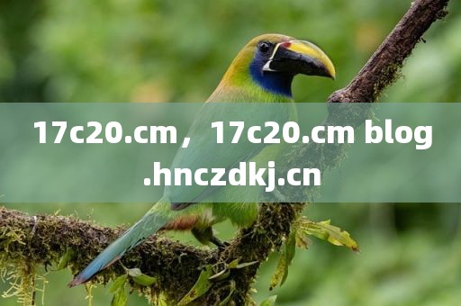 17c20.cm，17c20.cm blog.hnczdkj.cn