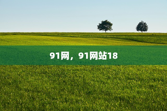 91网，91网站18