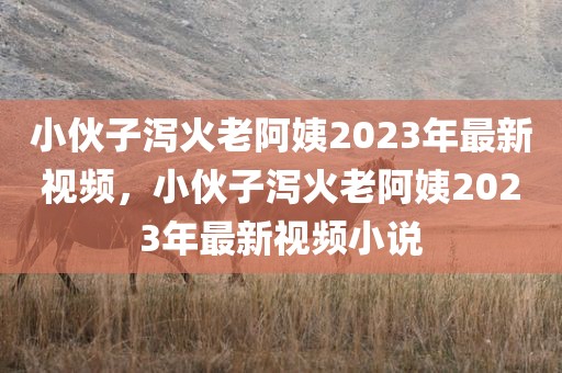 小伙子泻火老阿姨2023年最新视频，小伙子泻火老阿姨2023年最新视频小说