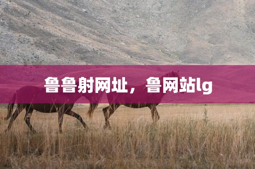 鲁鲁射网址，鲁网站lg