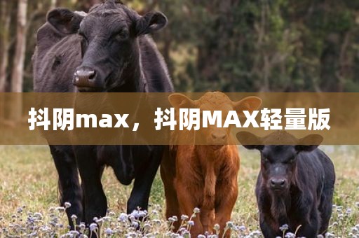 抖阴max，抖阴MAX轻量版