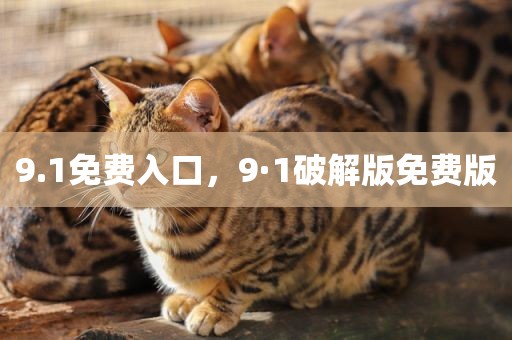9.1免费入口，9·1破解版免费版
