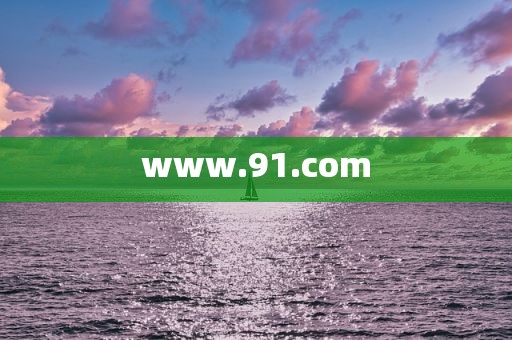 www.91.com