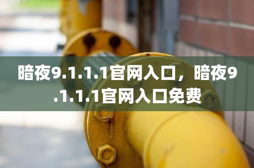 暗夜9.1.1.1官网入口，暗夜9.1.1.1官网入口免费