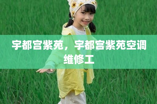 宇都宫紫苑，宇都宫紫苑空调维修工